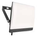LED Floodlight TAMBO EVO LED/50W/230V 4000K IP65 black