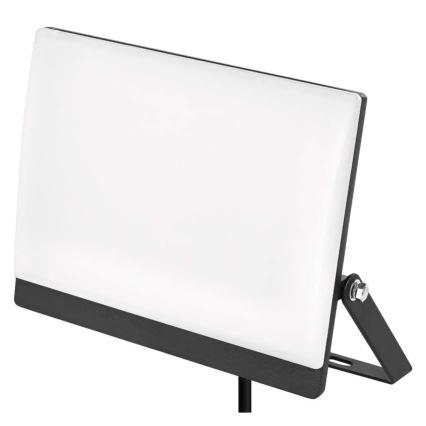 LED Floodlight TAMBO EVO LED/50W/230V 4000K IP65 black