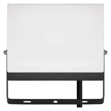 LED Floodlight TAMBO EVO LED/50W/230V 4000K IP65 black