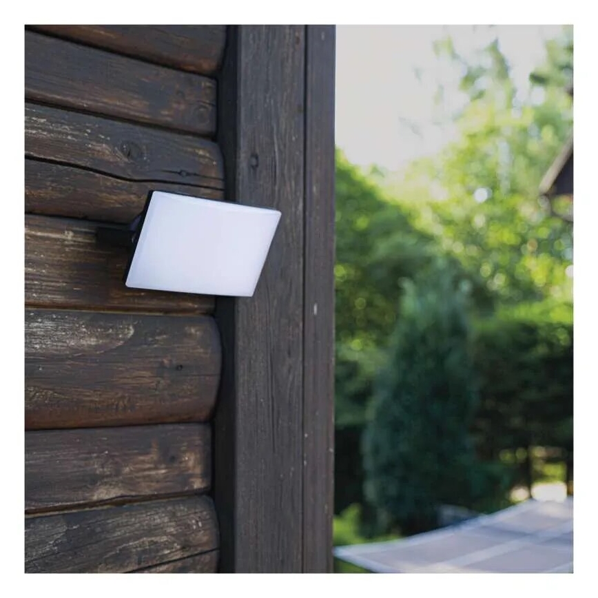 LED Floodlight TAMBO LED/10W/230V 4000K IP65