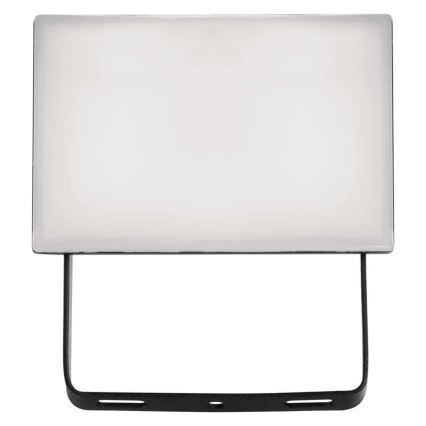 LED Floodlight TAMBO LED/10W/230V 4000K IP65