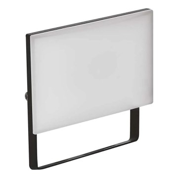 LED Floodlight TAMBO LED/20W/230V 4000K IP65