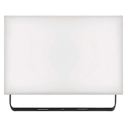 LED Floodlight TAMBO LED/50W/230V 4000K IP65
