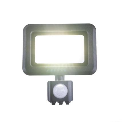 LED Floodlight with a sensor LED/20W/230V 4000K IP44
