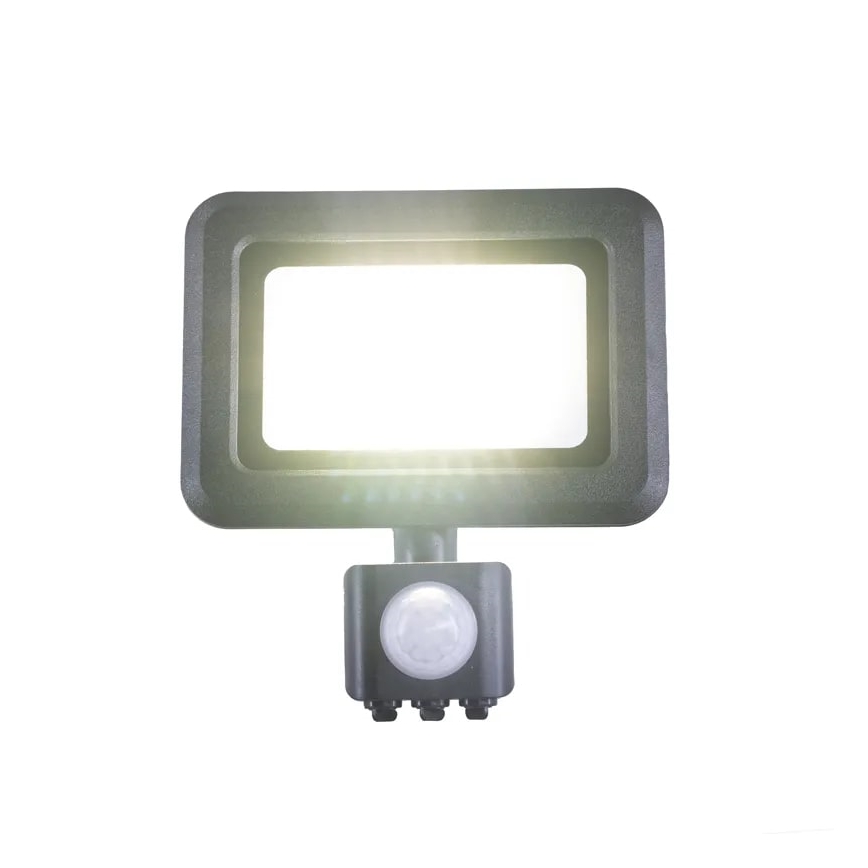 LED Floodlight with a sensor LED/20W/230V 4000K IP44