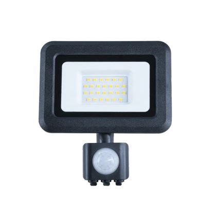 LED Floodlight with a sensor LED/20W/230V 4000K IP44