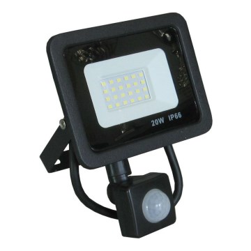 LED Floodlight with a sensor LED/20W/230V IP66