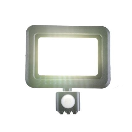 LED Floodlight with a sensor LED/30W/230V 4000K IP44