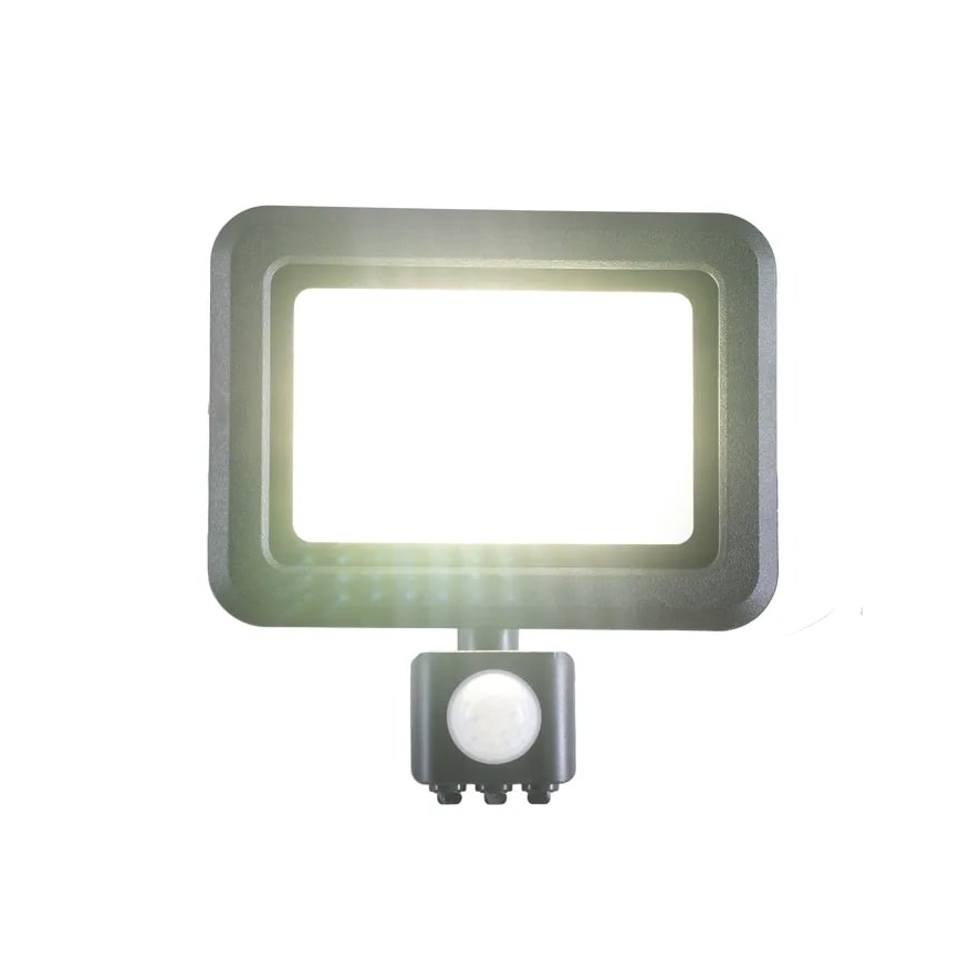 LED Floodlight with a sensor LED/30W/230V 4000K IP44