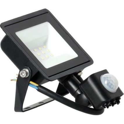LED Floodlight with a sensor LED/30W/230V 6500K IP44