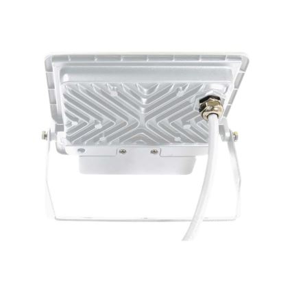 LED Floodlight with a sensor LED/50W/230V 4000K IP65 white