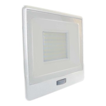 LED Floodlight with a sensor LED/50W/230V 6500K IP65 white