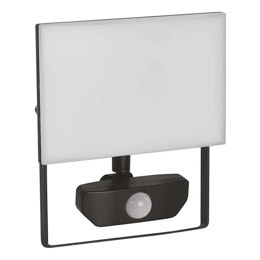 LED Floodlight with a sensor TAMBO LED/30W/230V 4000K IP54