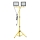 LED Floodlight with a stand TIGRA 2xLED/100W/230V 4000K IP54 black/yellow