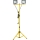 LED Floodlight with a stand TIGRA 2xLED/50W/230V 4000K IP54 black/yellow