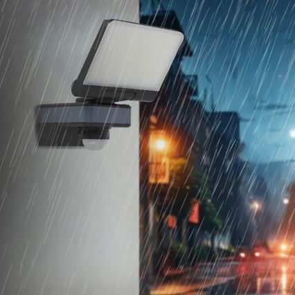LED floodlight with motion and dusk sensor LED/24W/230V 4200K IP54 black