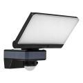LED Floodlight with motion and dusk sensor LED/44W/230V 4200K IP54 black