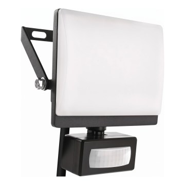 LED floodlight with motion and dusk sensor TAMBO EVO LED/20W/230V 4000K IP44 black