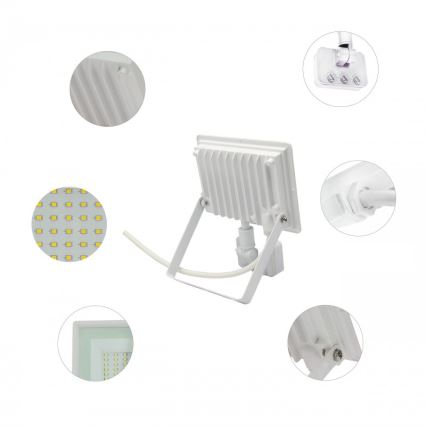 LED Floodlight with motion sensor NOCTIS LUX 3 LED/50W/230V 4000K IP44 white