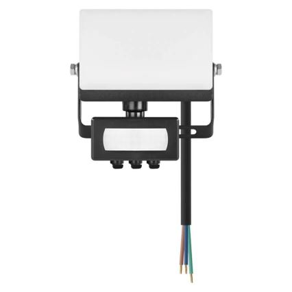 LED Floodlight with Motion and Dusk Sensor TAMBO EVO LED/10W/230V 4000K IP44 Black