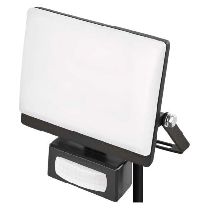 LED floodlight with motion and dusk sensor TAMBO EVO LED/20W/230V 4000K IP44 black