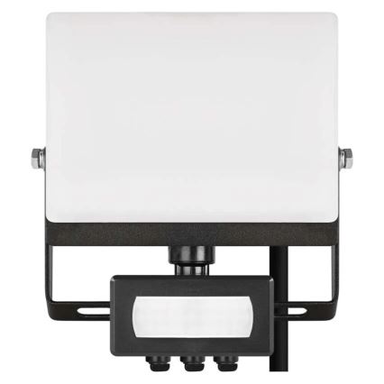 LED floodlight with motion and dusk sensor TAMBO EVO LED/20W/230V 4000K IP44 black