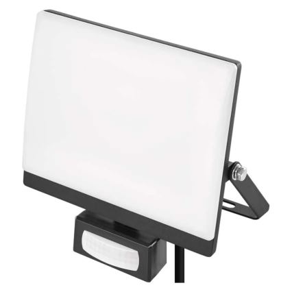 LED Floodlight with Motion and Dusk Sensor TAMBO EVO LED/30W/230V 4000K IP44 Black