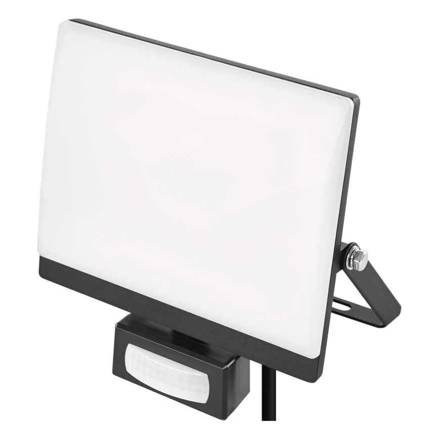 LED Floodlight with Motion and Dusk Sensor TAMBO EVO LED/30W/230V 4000K IP44 Black