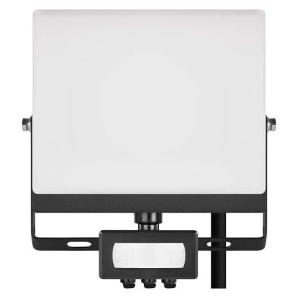 LED Floodlight with Motion and Dusk Sensor TAMBO EVO LED/30W/230V 4000K IP44 Black