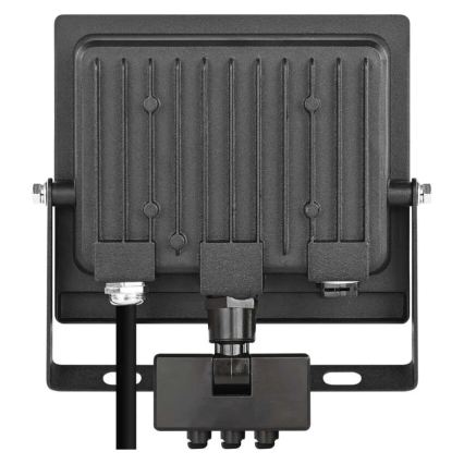 LED Floodlight with Motion and Dusk Sensor TAMBO EVO LED/30W/230V 4000K IP44 Black