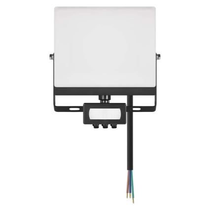 LED Floodlight with Motion and Dusk Sensor TAMBO EVO LED/30W/230V 4000K IP44 Black
