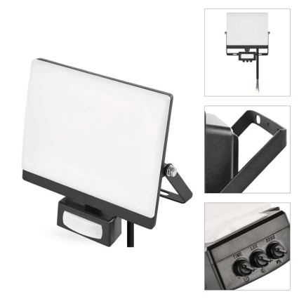 LED Floodlight with Motion and Dusk Sensor TAMBO EVO LED/30W/230V 4000K IP44 Black