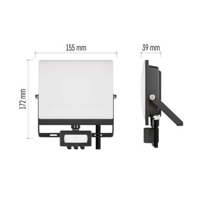 LED Floodlight with Motion and Dusk Sensor TAMBO EVO LED/30W/230V 4000K IP44 Black