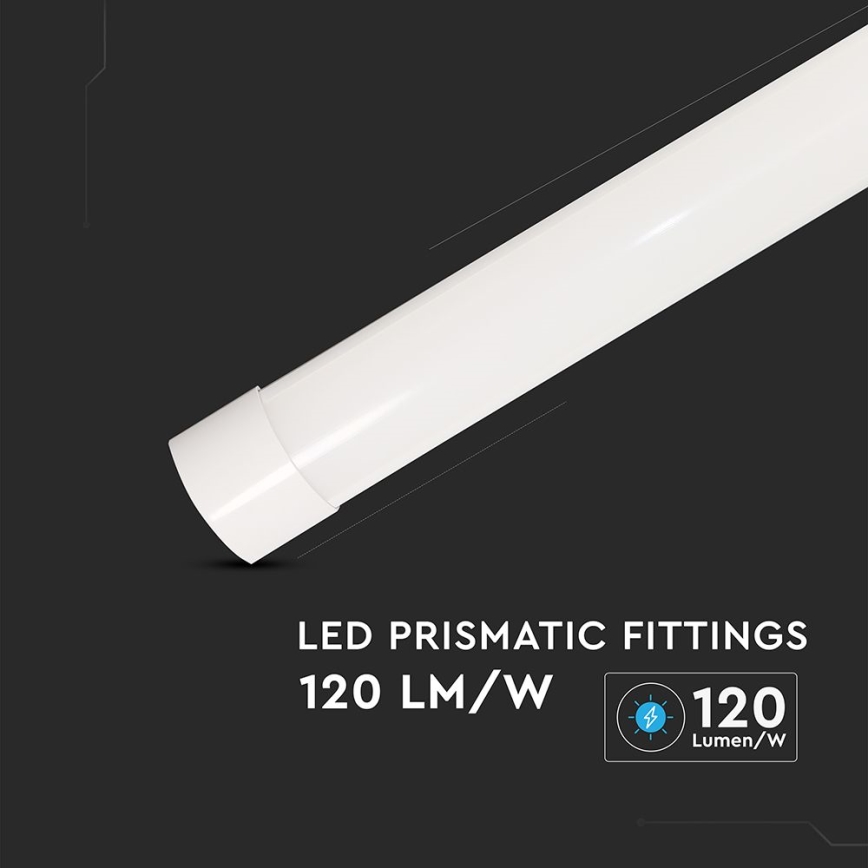 LED Fluorescent light LED/10W/230V 6500K 30 cm white
