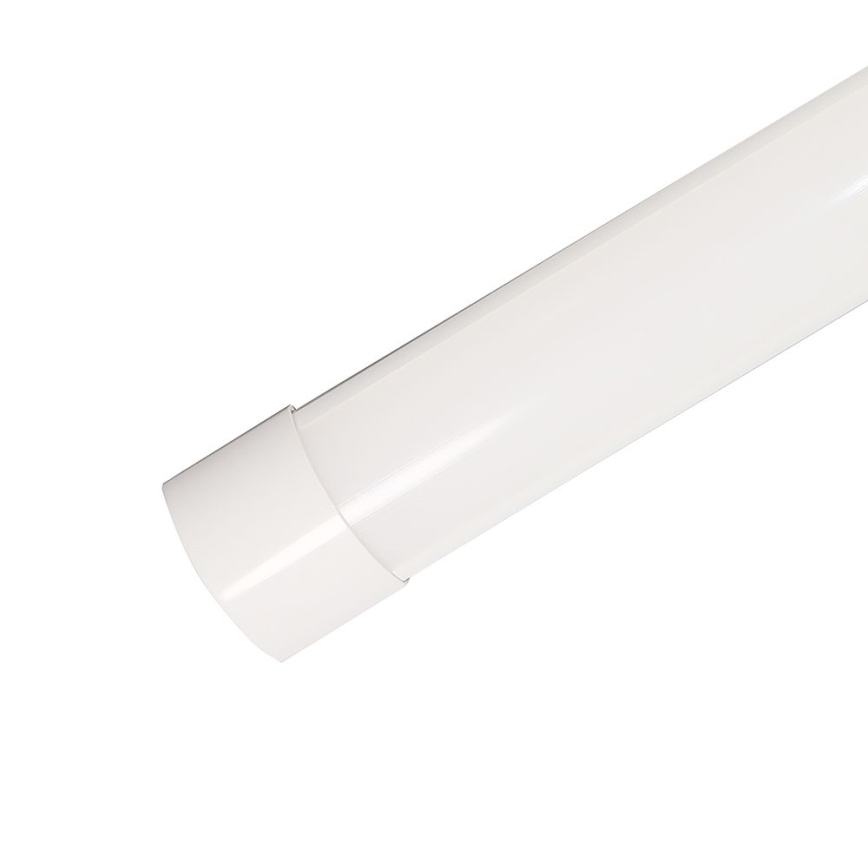 LED Fluorescent light LED/10W/230V 6500K 30 cm white