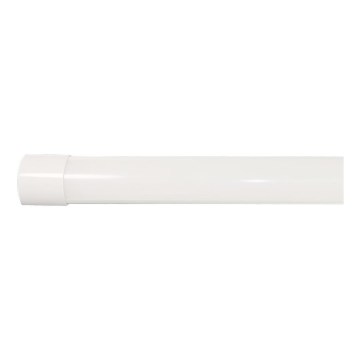 LED Fluorescent light LED/40W/230V 3000/4000/6500K 116 cm
