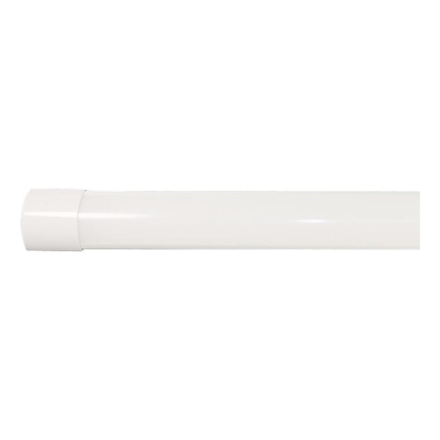LED Fluorescent light LED/40W/230V 3000/4000/6500K 116 cm