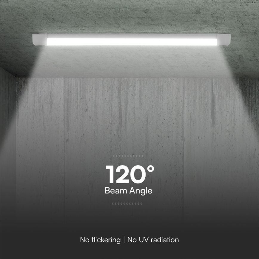 LED Fluorescent light LED/40W/230V 3000/4000/6500K 116 cm