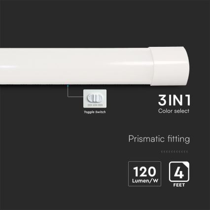 LED Fluorescent light LED/40W/230V 3000/4000/6500K 116 cm