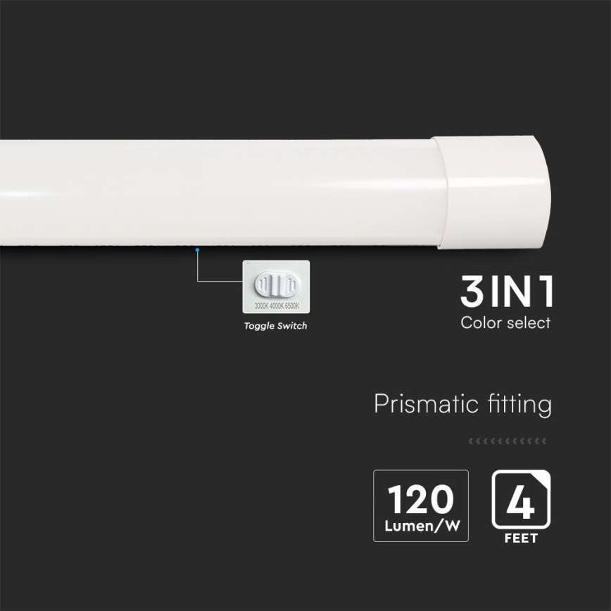 LED Fluorescent light LED/40W/230V 3000/4000/6500K 116 cm