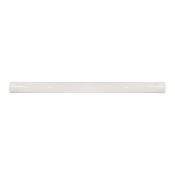 LED Fluorescent light LED/50W/230V 4000K 150 cm white