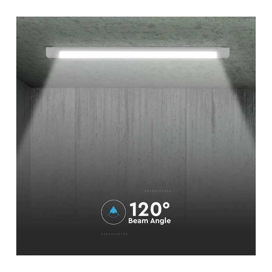 LED Fluorescent light SAMSUNG CHIP LED/50W/230V 6500K 150 cm