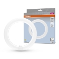 LED Fluorescent tube G10q/11W/230V 4000K - Osram