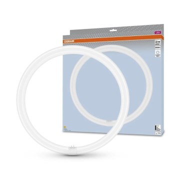 LED Fluorescent tube G10q/24W/230V 4000K - Osram