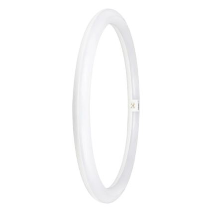 LED Fluorescent tube G10q/24W/230V 6500K - Osram