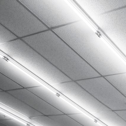 LED Fluorescent tube G13/20W/230V 4000K 150 cm