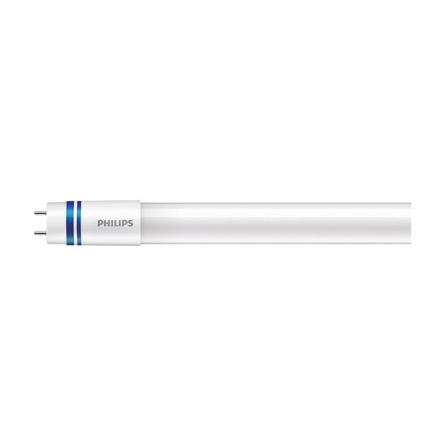 LED Fluorescent tube Philips MASTER T8 G13/21,5W/230V 6500K 120 cm