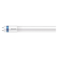 LED Fluorescent tube Philips MASTER T8 G13/24W/80V 6500K 150 cm