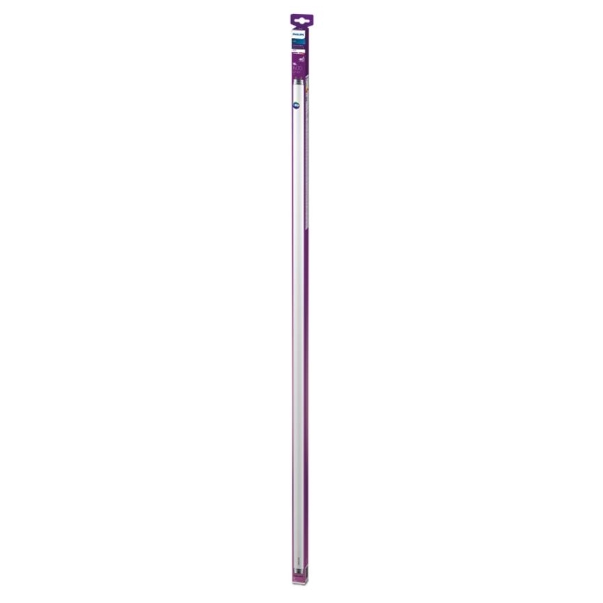 LED Fluorescent tube Philips T8 G13/16W/230V 3000K 120 cm