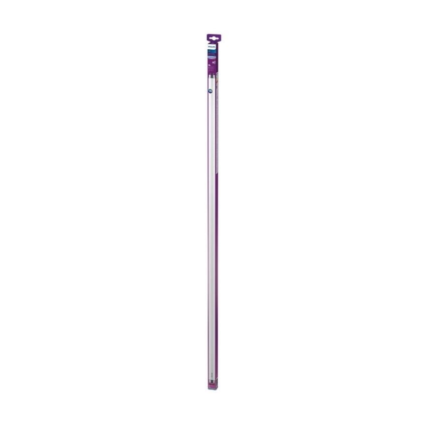 LED Fluorescent tube Philips T8 G13/16W/230V 6500K 120 cm
